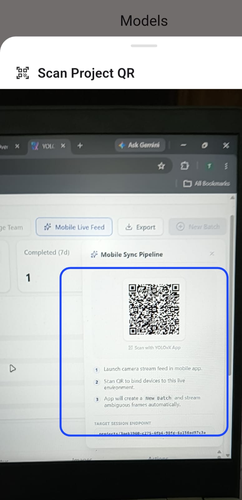 Scanning Web Screen