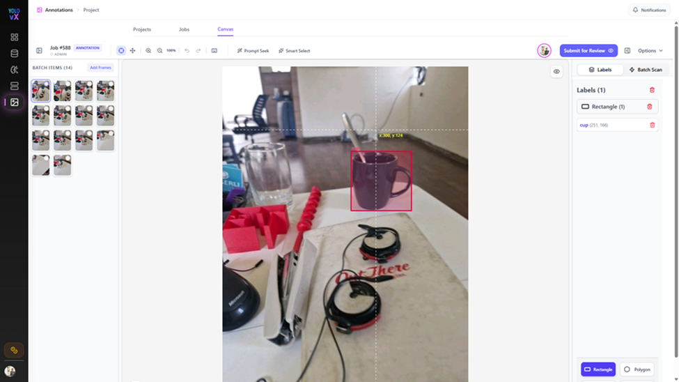 Automated Detection Review