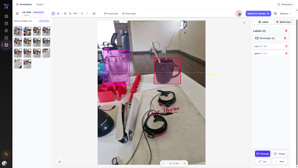 Manual Annotation